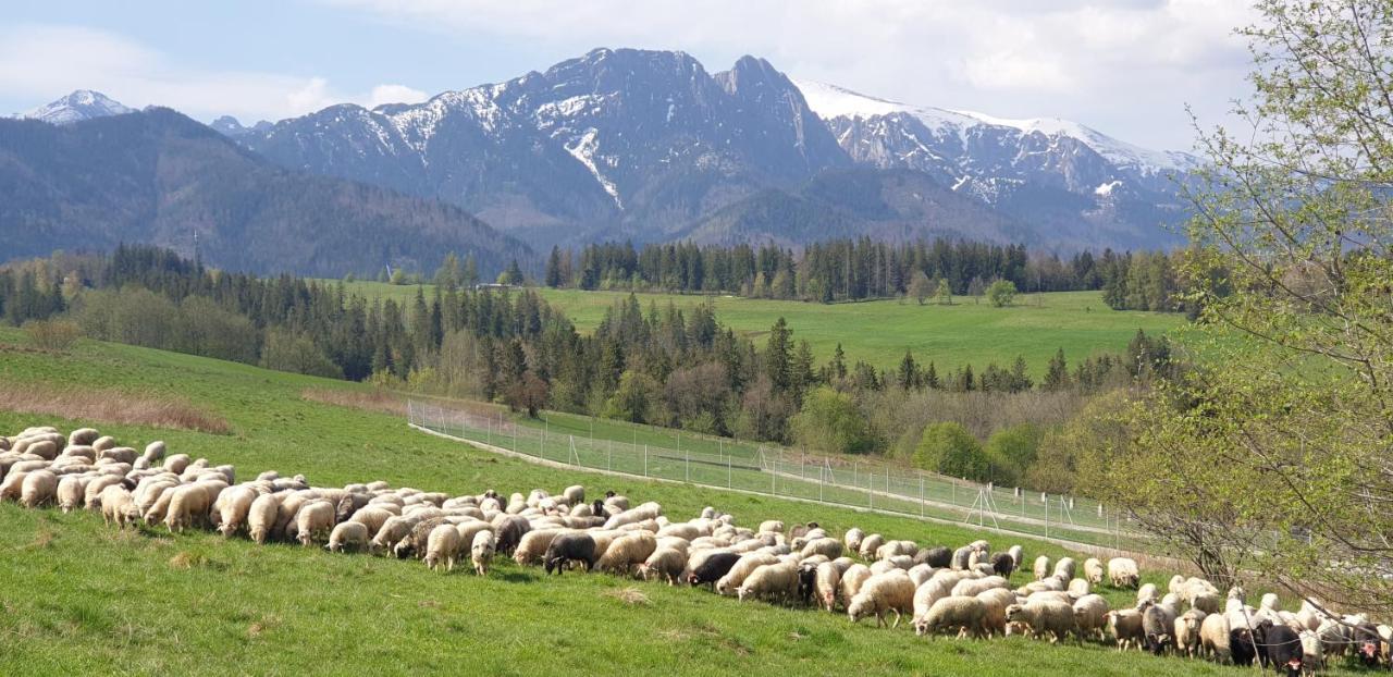 Na Brzyzku * Zakopane